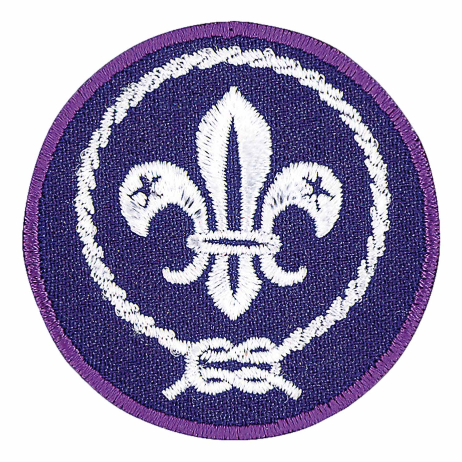 BSA World Crest emblem